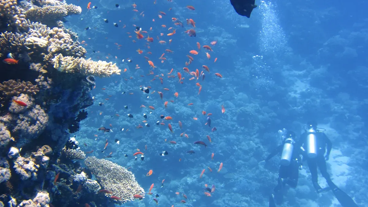 Wholesale Diving Products Trends